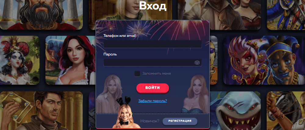 широкий выбор